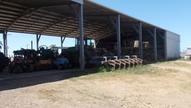 Rural / Farming commercial property for sale at 52 Linton Road Home Hill QLD 4806