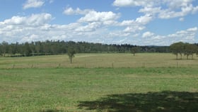 Rural / Farming commercial property for sale at Monto QLD 4630