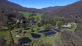 Rural / Farming commercial property for sale at 10 Stony Creek Road Harrietville VIC 3741