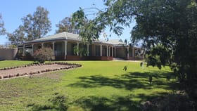 Rural / Farming commercial property for sale at " Riverlyn" Moree NSW 2400