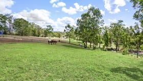 Rural / Farming commercial property for lease at 139 Cabbage Tree Road Grose Vale NSW 2753