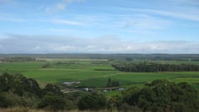 Rural / Farming commercial property for sale at 1432 Trowutta Road Edith Creek TAS 7330