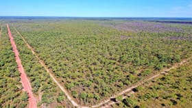 Rural / Farming commercial property for sale at 3965 Florina Rd Katherine NT 0850