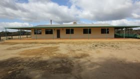 Rural / Farming commercial property for sale at 1012 Ivey Road South Bodallin WA 6424