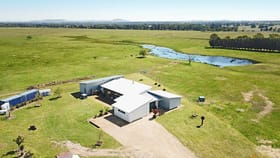 Rural / Farming commercial property for sale at 36 Bomfords Rd Nicholson VIC 3882