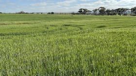 Rural / Farming commercial property for sale at "Ingleside" Dale  -Kokeby Road Beverley WA 6304