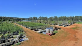 Rural / Farming commercial property for sale at 124 Wilson Road Middle Swan WA 6056