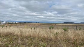 Rural / Farming commercial property for sale at Mount Kent Boundary Road Nobby QLD 4360
