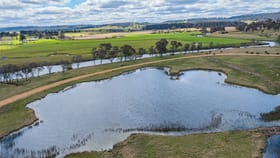 Rural / Farming commercial property for sale at 1574 Shannon Vale Rd Shannon Vale NSW 2370