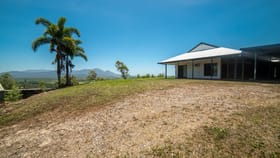 Rural / Farming commercial property for sale at 32 & 125/32 Mount Cudmore Road Ingham QLD 4850