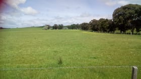 Rural / Farming commercial property for sale at 196 NOLANS ROAD Henty VIC 3312