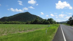 Rural / Farming commercial property for sale at 0 Bruce Highway El Arish QLD 4855