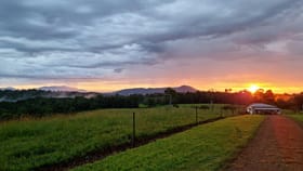 Rural / Farming commercial property for sale at Ravenshoe QLD 4888