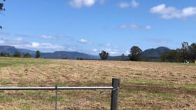 Rural / Farming commercial property for sale at 26 Carter Road Aratula QLD 4309