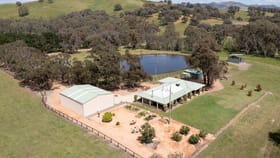 Rural / Farming commercial property for sale at 117 Sierra Hills Road Yea VIC 3717