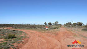 Rural / Farming commercial property for sale at 4446 Rabbit Proof Fence Road Dalwallinu WA 6609