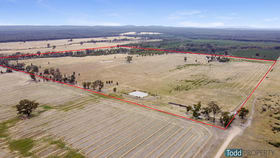Rural / Farming commercial property for sale at 165 Raglus Road Redcastle VIC 3523
