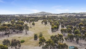 Rural / Farming commercial property for sale at 9 Dowds Lane Heathcote VIC 3523