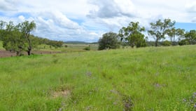 Rural / Farming commercial property for sale at 919 Oakey Pittsworth Road Aubigny QLD 4401