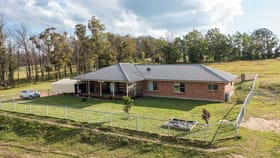 Rural / Farming commercial property for sale at 430 Rays Road Black Mountain NSW 2365