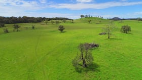 Rural / Farming commercial property for sale at Guyra NSW 2365