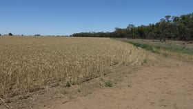 Rural / Farming commercial property for sale at 371 Fenton Road Budgerum East VIC 3579