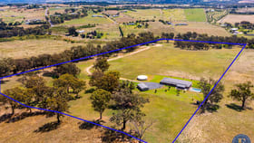 Rural / Farming commercial property for sale at 210 Bashams Lane Young NSW 2594