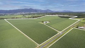 Rural / Farming commercial property for sale at 1 Hill Road Wrights Creek QLD 4869