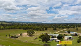 Rural / Farming commercial property for sale at 383 Lowes Peak Road Mudgee NSW 2850