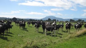 Rural / Farming commercial property for sale at 357 Dairy Plains Road Deloraine TAS 7304