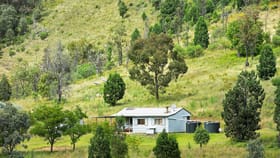 Rural / Farming commercial property for sale at 318 Beragoo Road Mudgee NSW 2850