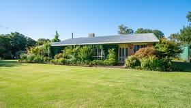 Rural / Farming commercial property for sale at 338 WILLOWS ROAD Jerilderie NSW 2716
