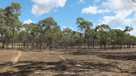 Rural / Farming commercial property for sale at 1tp8559220 Box Flat Track Lamplough VIC 3352
