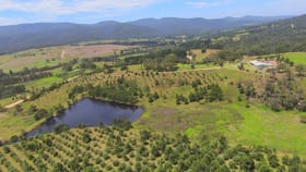 Rural / Farming commercial property for sale at 201 & 224 Pericoe Rd Towamba NSW 2550