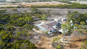 Rural / Farming commercial property for sale at 16676 South Coast Highway Ravensthorpe WA 6346