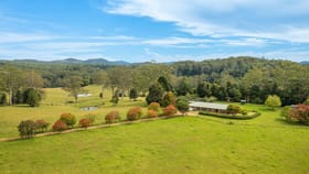 Rural / Farming commercial property for sale at 255 Cooks Rd Elands NSW 2429