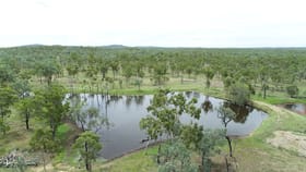 Rural / Farming commercial property for sale at Rhonella Park Greenvale QLD 4816