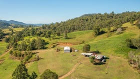 Rural / Farming commercial property for sale at Lot 21 of 227 Pine Scrub Road Kindee NSW 2446