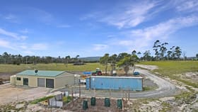 Rural / Farming commercial property for sale at 1284 North Ansons Road Ansons Bay TAS 7264