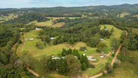 Rural / Farming commercial property for sale at 647 Beech Road Elands NSW 2429
