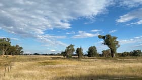 Rural / Farming commercial property for sale at Coolah NSW 2843