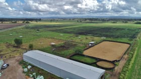 Rural / Farming commercial property for sale at 51 Gatton-Laidley Rd College View QLD 4343