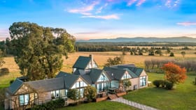 Rural / Farming commercial property for sale at 345 Talga Road Lovedale NSW 2325