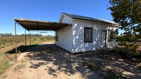 Rural / Farming commercial property for sale at 100 Pomroy Road Yenda NSW 2681