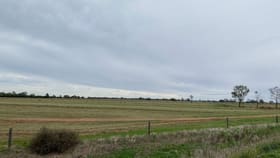 Rural / Farming commercial property for sale at 00 Moore Road Koroop VIC 3579