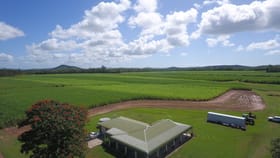 Rural / Farming commercial property for sale at 303 Bogga Road Mount Pelion QLD 4741