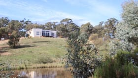 Rural / Farming commercial property for sale at 51 Manazillo Lane Avoca VIC 3467