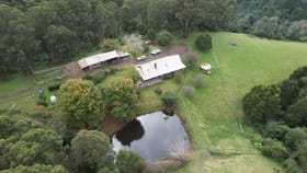 Rural / Farming commercial property for sale at 225-227 Turpins Road Madalya VIC 3971