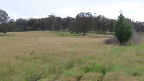 Rural / Farming commercial property for sale at The Bield/393 Furracabad Road Glen Innes NSW 2370