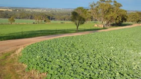 Rural / Farming commercial property for sale at . 'Quelgening' York WA 6302